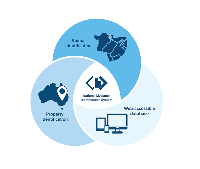 How does the NLIS work?