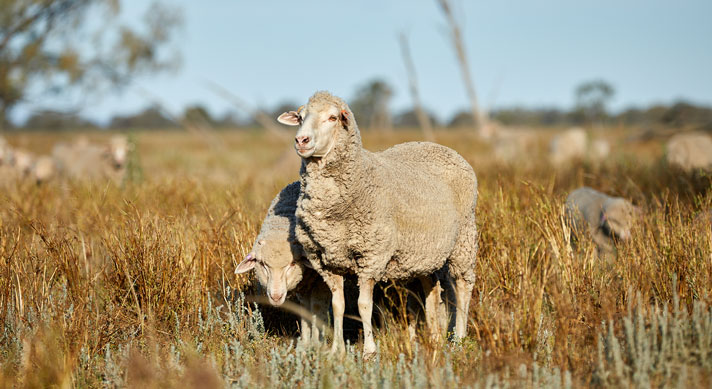 Three ways to be biosecurity ready