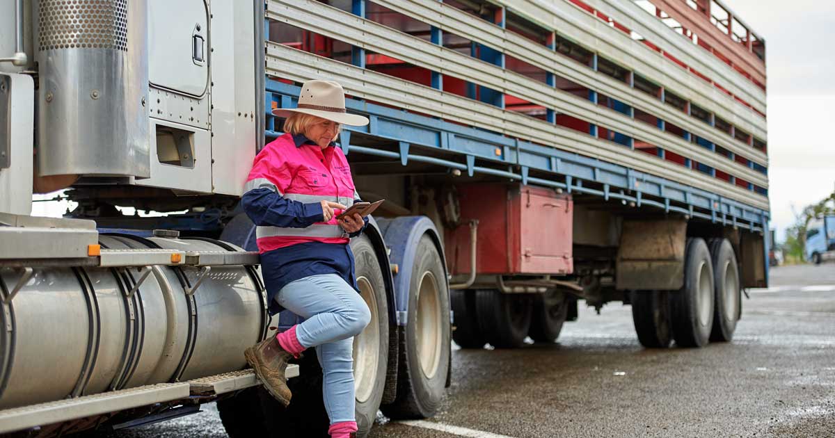 Di Peisley says that the eNVD has helped ease the process of transport preparation.